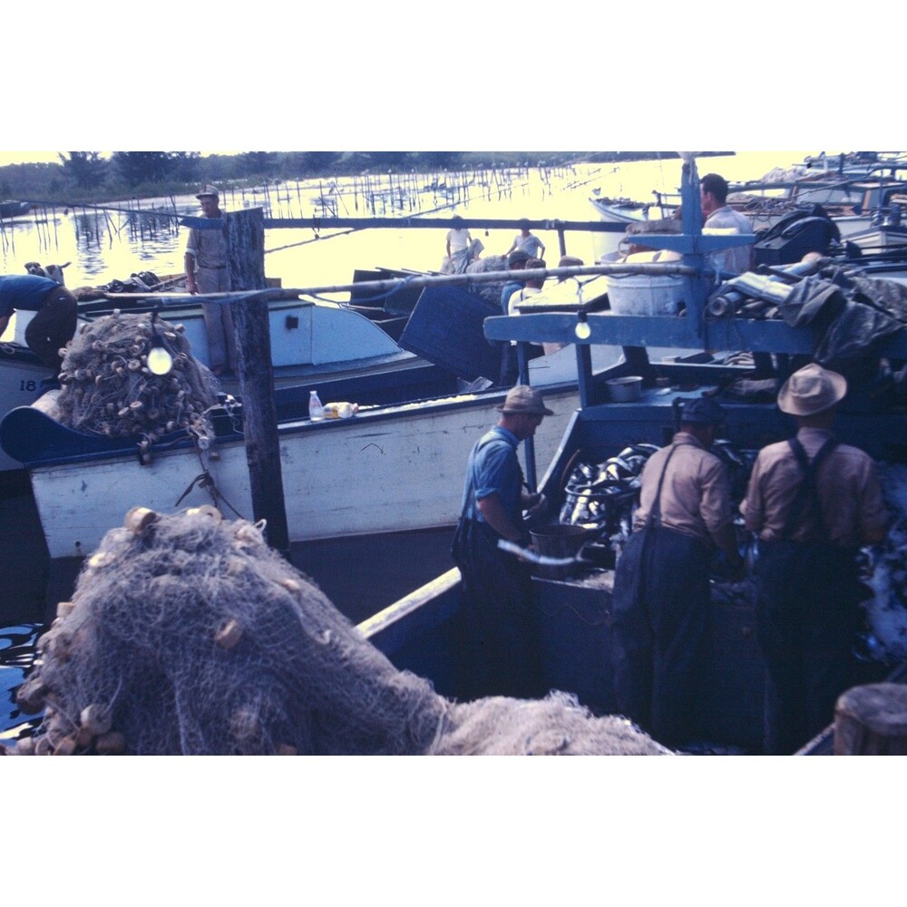 Kodak Slide 1940s Red Border Kodachrome Commercial Fisherman On Boats At Marina